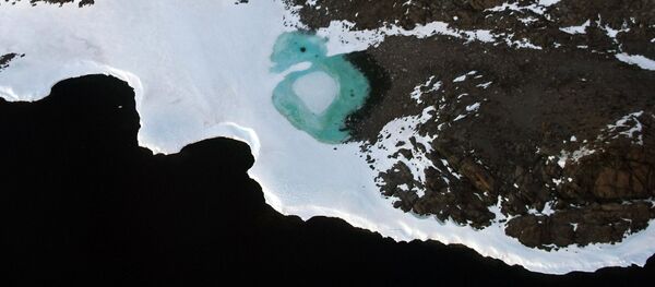 南极 - 俄罗斯卫星通讯社