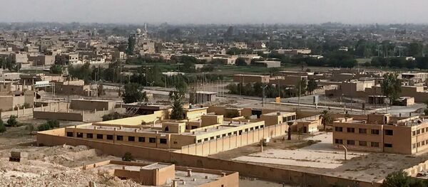 代尔祖尔 - 俄罗斯卫星通讯社