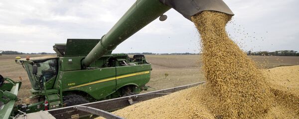 俄水文氣象中心：俄羅斯今年糧食收成將超去年水平 - 俄羅斯衛星通訊社