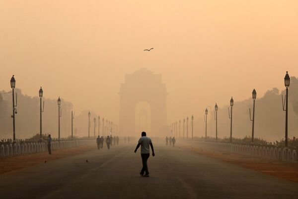 被霧霾籠罩的“印度門”旁的男子，新德里 - 俄羅斯衛星通訊社