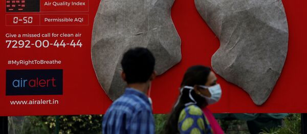 研究:空气污染使人类平均寿命缩短近两年 研究:空气污染使人类平均寿命缩短近两年 - 俄罗斯卫星通讯社