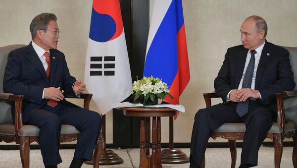 青瓦台：韩俄领导人讨论放宽对朝制裁问题 - 俄罗斯卫星通讯社