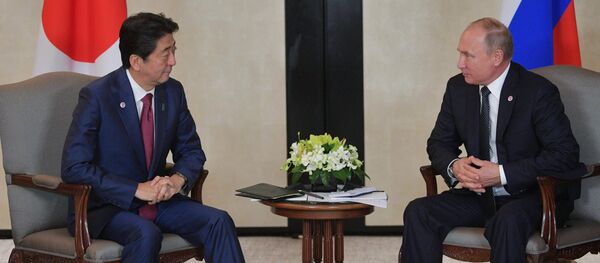 日本首相希望与普京会晤期间具体讨论和平条约事宜 日本首相希望与普京会晤期间具体讨论和平条约事宜 - 俄罗斯卫星通讯社