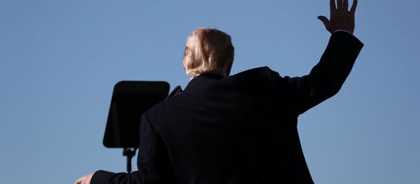 近半美国人相信特朗普将于2020年连任总统 - 俄罗斯卫星通讯社