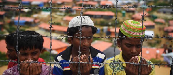 美国副总统：缅甸对罗兴亚人的行动无可辩解 - 俄罗斯卫星通讯社