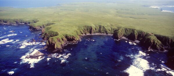 日本內閣官房長官:日俄領導人希望親自解決領土問題 日本內閣官房長官:日俄領導人希望親自解決領土問題 - 俄羅斯衛星通訊社