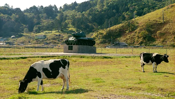 見解：專家認為俄羅斯不可能向日本轉交南千島群島 - 俄羅斯衛星通訊社