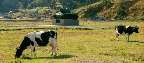 见解：专家认为俄罗斯不可能向日本转交南千岛群岛 - 俄罗斯卫星通讯社