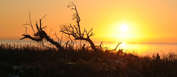 综述:专家对俄罗斯是否能按1956年宣言向日本移交两岛心存疑虑 综述:专家对俄罗斯是否能按1956年宣言向日本移交两岛心存疑虑 - 俄罗斯卫星通讯社