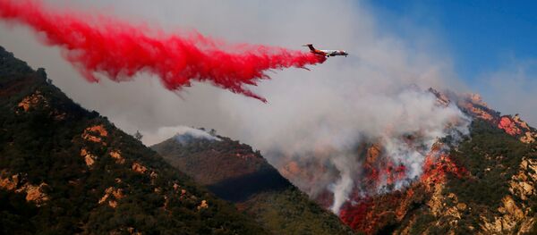 加州政府：至少50人在加州大火中丧生 - 俄罗斯卫星通讯社
