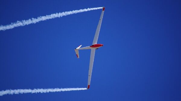 俄罗斯发明无需飞行许可就能驾驶的超轻型滑翔机 - 俄罗斯卫星通讯社