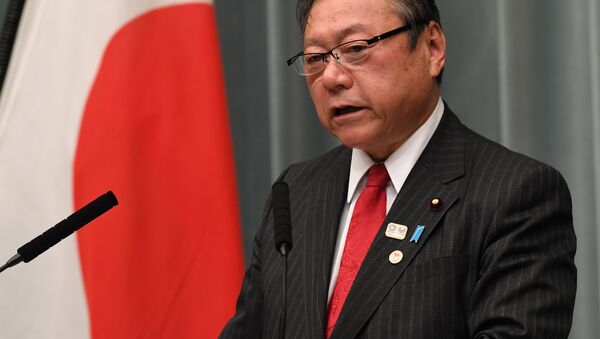 日本主管網絡安全和2020年東京奧運會的部長櫻田義孝 - 俄羅斯衛星通訊社