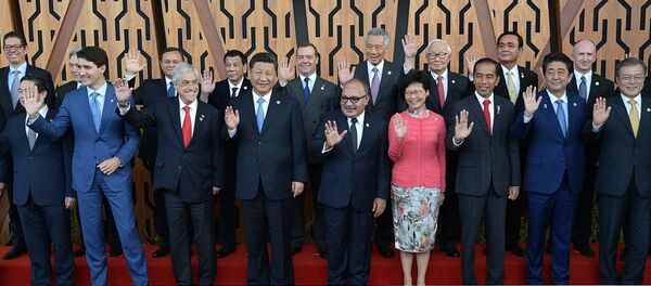 亚太经合组织峰会在巴布亚新几内亚召开 - 俄罗斯卫星通讯社