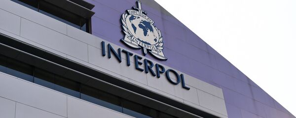 玻利維亞檢察院證實存在針對莫拉萊斯的國際刑警組織“藍色”通緝令 - 俄羅斯衛星通訊社