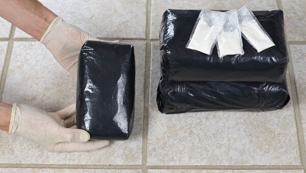 大連海關查獲一起特大走私毒品案件 涉案可卡因毒品約200公斤 - 俄羅斯衛星通訊社