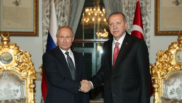 土耳其总统有意近期访俄与普京商讨叙利亚局势 - 俄罗斯卫星通讯社