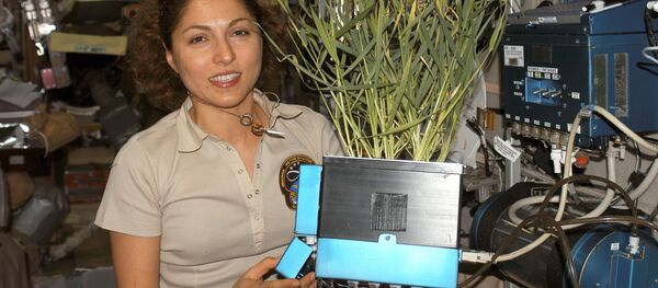 美国计划明年发射飞船搭载游客前往国际空间站 - 俄罗斯卫星通讯社