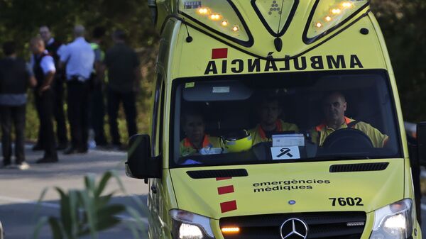 西班牙約15人在試圖離開被火包圍的列車時受傷 - 俄羅斯衛星通訊社