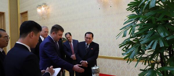 俄羅斯駐平壤大使館公開金正恩獲贈禮物照片 - 俄羅斯衛星通訊社