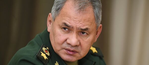 俄國防部長：“伊斯蘭國”在阿富汗擴充勢力  將該國作為擴張跳板 - 俄羅斯衛星通訊社