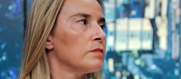 欧盟外长:欧盟希望在保留《中导条约》方面仍有谈判的可能 欧盟外长:欧盟希望在保留《中导条约》方面仍有谈判的可能 - 俄罗斯卫星通讯社