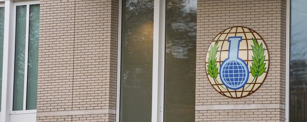 Вид на здание Организации по запрещению химического оружия в Гааге. - 俄罗斯卫星通讯社