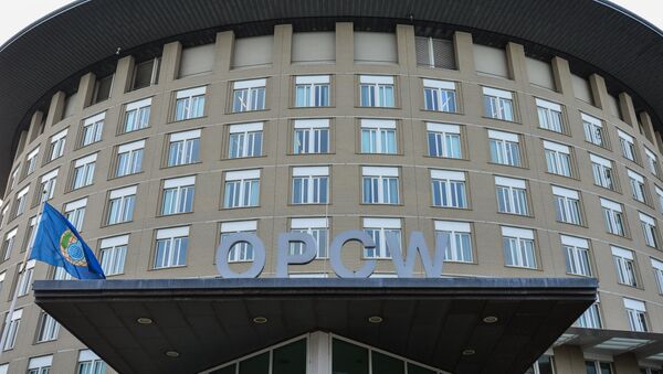 Вид на здание Организации по запрещению химического оружия в Гааге. - 俄羅斯衛星通訊社