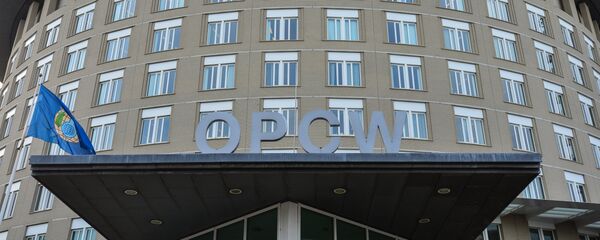 Вид на здание Организации по запрещению химического оружия в Гааге. - 俄罗斯卫星通讯社