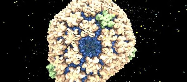 俄中专家探讨联合研制艾滋病疫苗的可能性 - 俄罗斯卫星通讯社