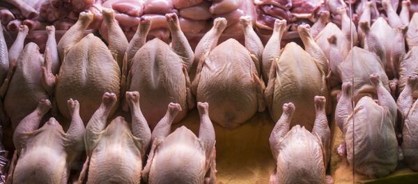 专家解释为什么洗生鸡肉很危险 - 俄罗斯卫星通讯社