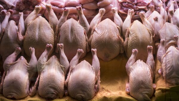 白俄羅斯首批200噸禽肉運抵中國 - 俄羅斯衛星通訊社