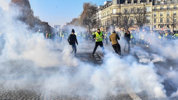 法國示威活動（圖片資料） - 俄羅斯衛星通訊社