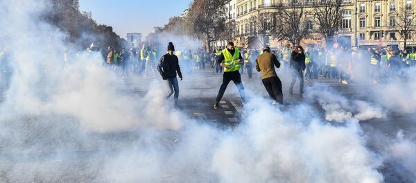 俄卫星社记者在巴黎抗议期间受伤 - 俄罗斯卫星通讯社