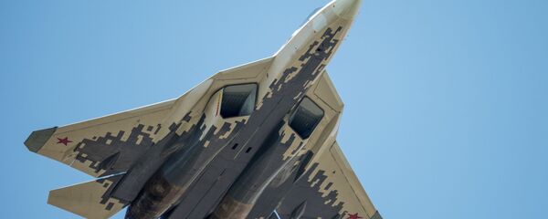 专家：土耳其在美国持续施压下或成为首批采购苏-57的国家之一 - 俄罗斯卫星通讯社