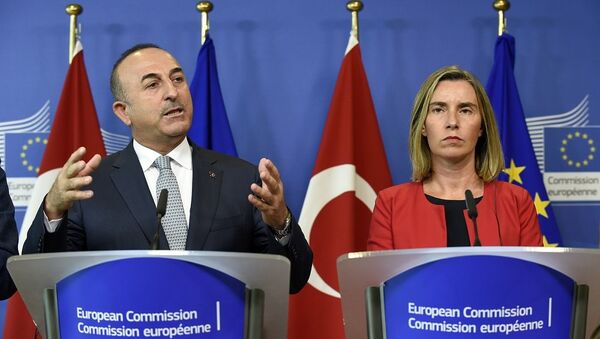 欧盟与土耳其重申支持叙伊德利卜形势稳定备忘录及伊核协议 - 俄罗斯卫星通讯社