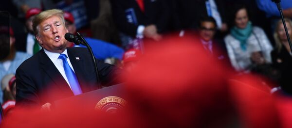 2020年美大选中特朗普在一关键摇摆州的支持率或不敌拜登 - 俄罗斯卫星通讯社