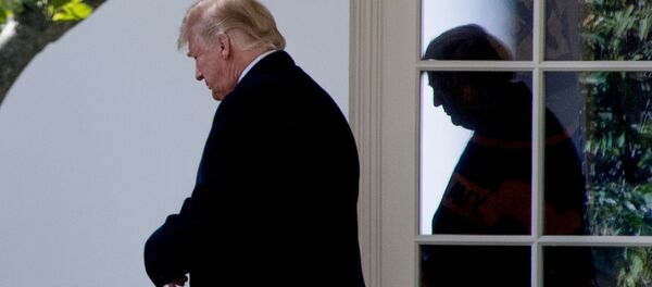 Президент США Дональд Трамп в Белом доме - 俄罗斯卫星通讯社