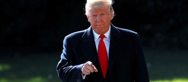 Президент США Дональд Трамп Президент США Дональд Трамп - 俄罗斯卫星通讯社