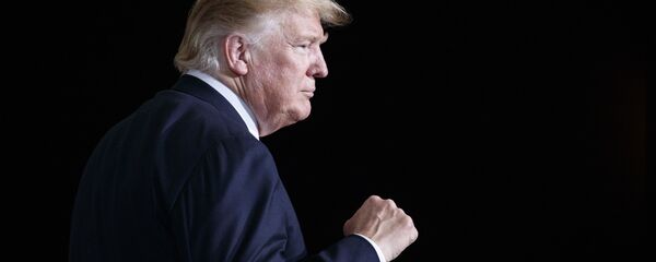 Президент США Дональд Трамп - 俄罗斯卫星通讯社