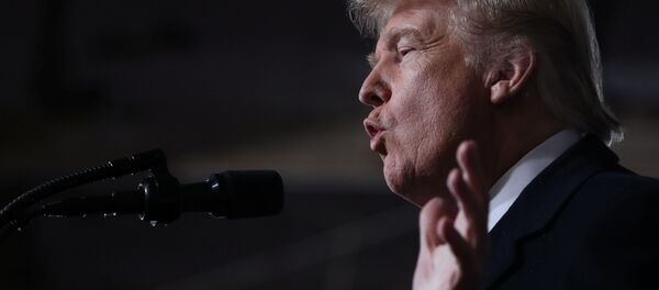 Президент США Дональд Трамп. Архивное фото Президент США Дональд Трамп. Архивное фото - 俄罗斯卫星通讯社