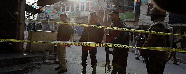 巴基斯坦 - 俄罗斯卫星通讯社