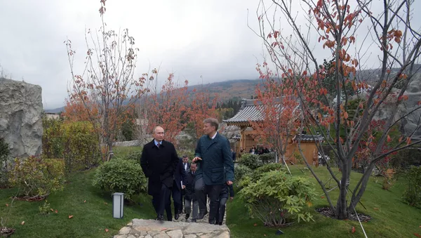 普京在克里米亚一度假中心喂鲤鱼 - 俄罗斯卫星通讯社