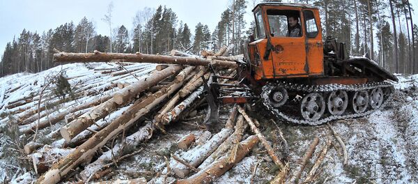 木材采运 木材采运 - 俄罗斯卫星通讯社