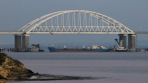 俄聯邦安全局：為保障安全，正對通過刻赤海峽的船隻進行檢查 - 俄羅斯衛星通訊社