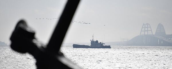 克宫否认基辅有关科赤海峡船舶限行的说法 克宫否认基辅有关科赤海峡船舶限行的说法 - 俄罗斯卫星通讯社