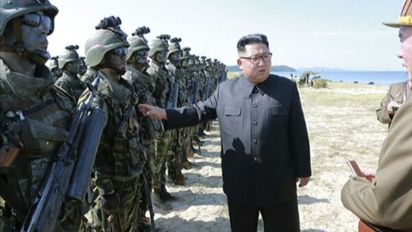Лидер КНДР Ким Чен Ын инспектирует солдат в Северной Корее - 俄羅斯衛星通訊社