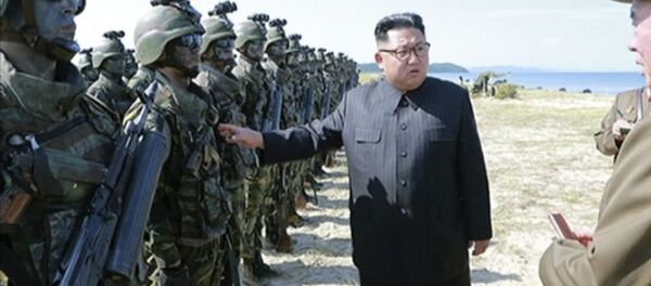 金正恩5个月来首次开展军事视察 - 俄罗斯卫星通讯社
