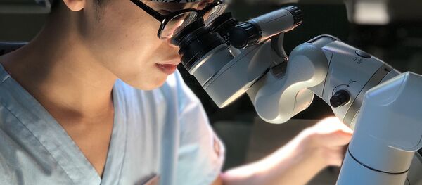 陳闊在做醫學研究 - 俄羅斯衛星通訊社