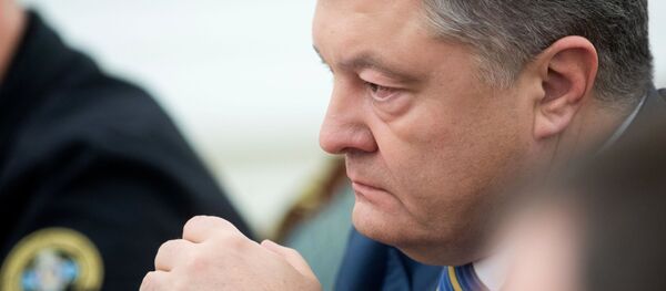 乌总统望北约在刻赤海峡事件后派军舰进入黑海 - 俄罗斯卫星通讯社