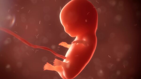 百余名科学家声明谴责人体胚胎基因编辑 - 俄罗斯卫星通讯社